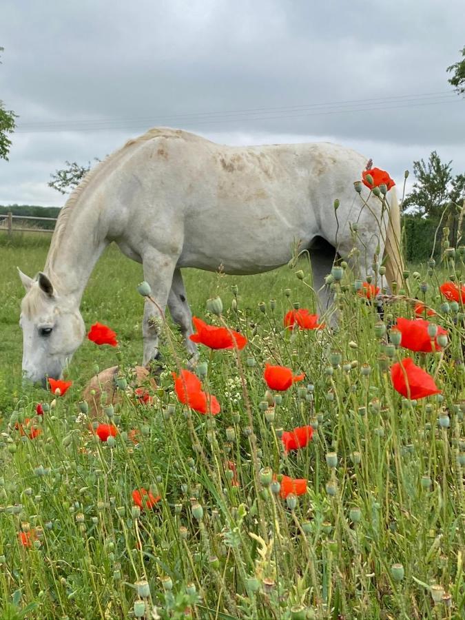 Domaine Nature Vacances Bernécourt 외부 사진