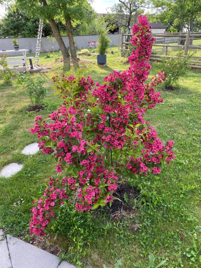 Domaine Nature Vacances Bernécourt 외부 사진